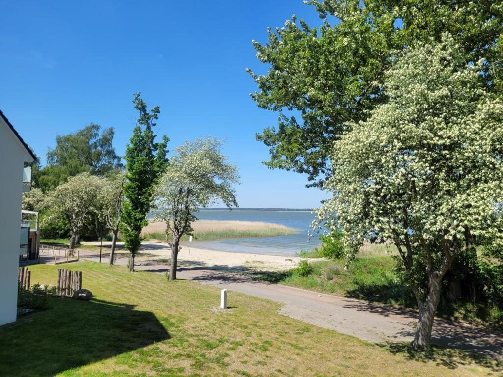 Baltic Lagoon Resort Direkt Am Meer Fuhlendorf  Exterior photo